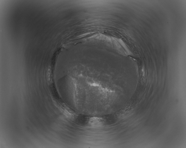 X0000076030222200610061426