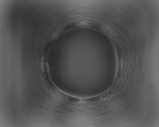 X0000076030223200610061426