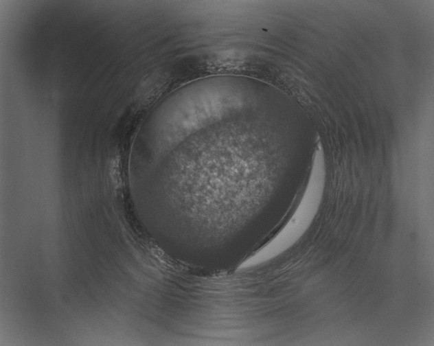 X0000076030224200610061426