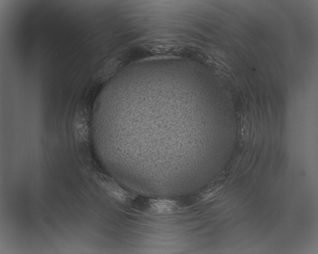 X0000076030226200610061426