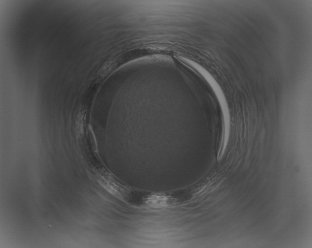 X0000076030227200610061426