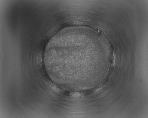 X0000076030230200610061426