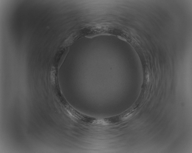 X0000076030231200610061426