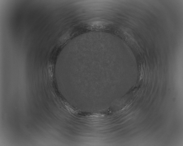 X0000076030232200610061426