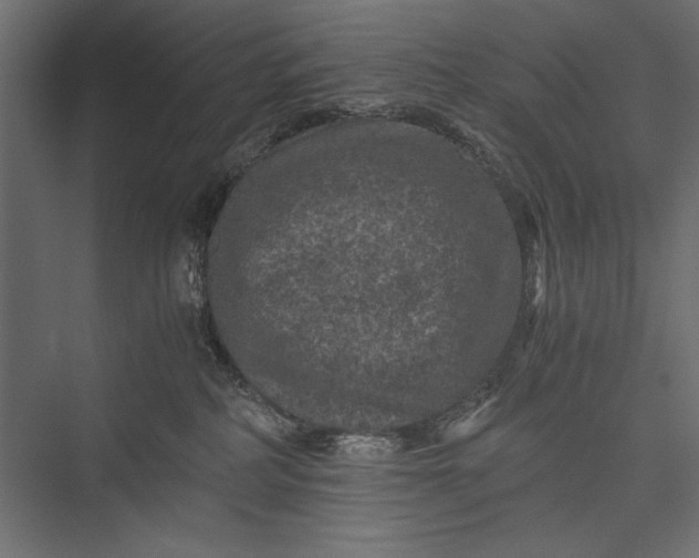 X0000076030234200610061426