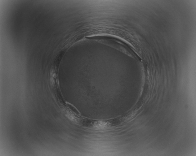 X0000076030235200610061426