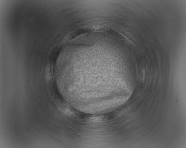 X0000076030236200610061426