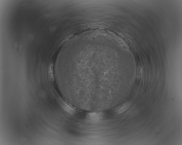 X0000076030238200610061426