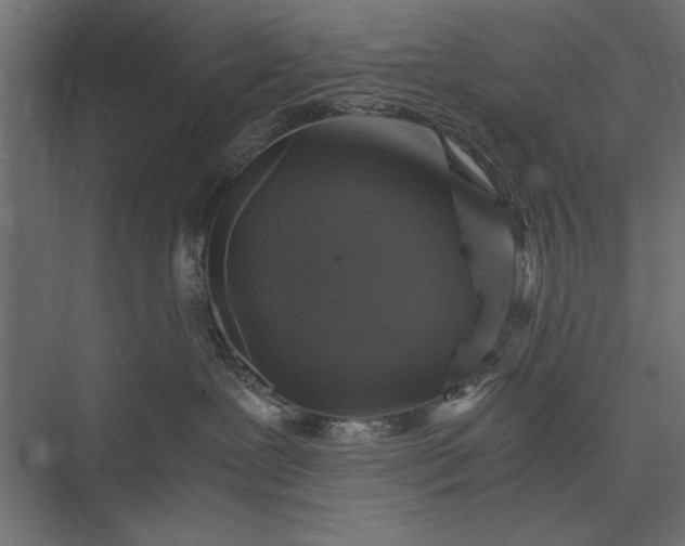 X0000076030239200610061426