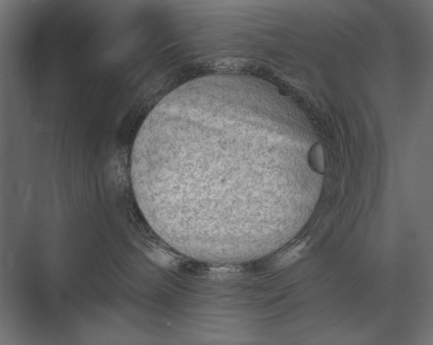 X0000076030240200610061426