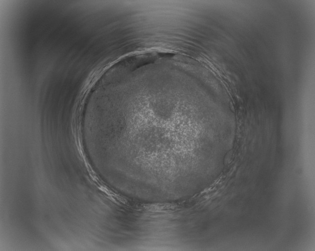 X0000076030241200610061425