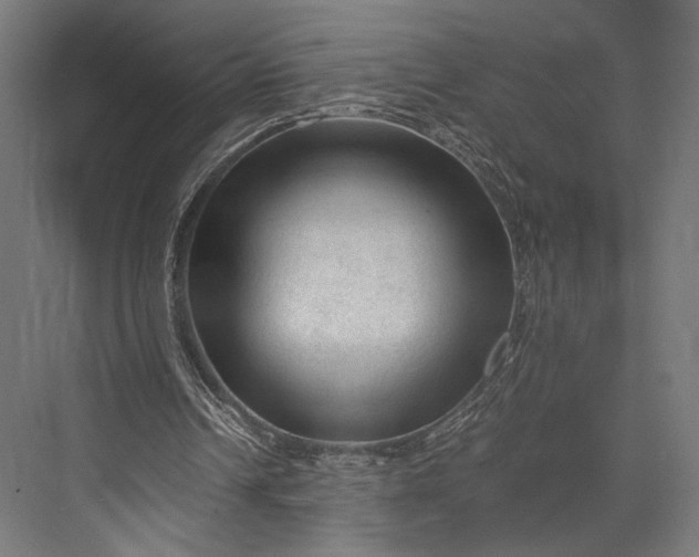 X0000076030242200610061425