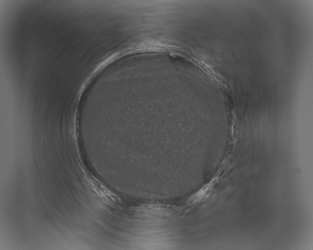 X0000076030244200610061425