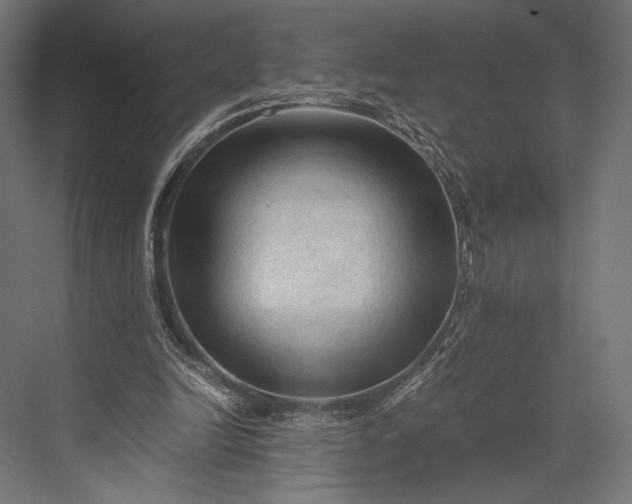 X0000076030246200610061425