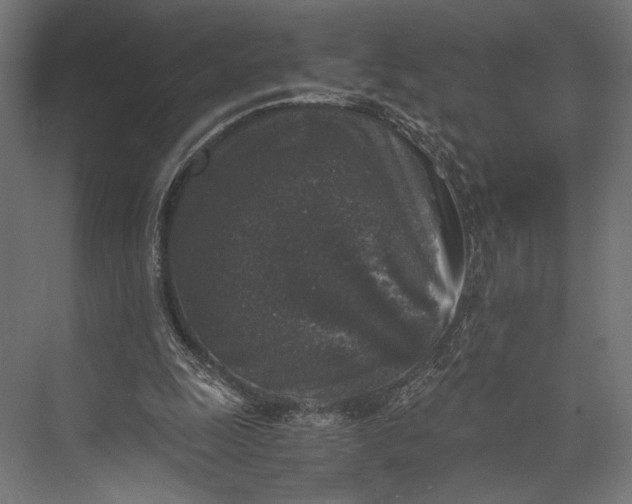 X0000076030247200610061425