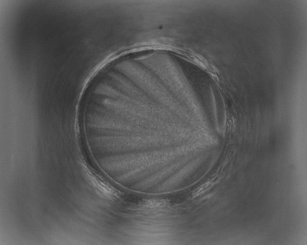 X0000076030248200610061425