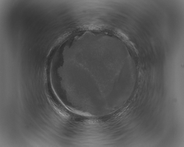 X0000076030250200610061425