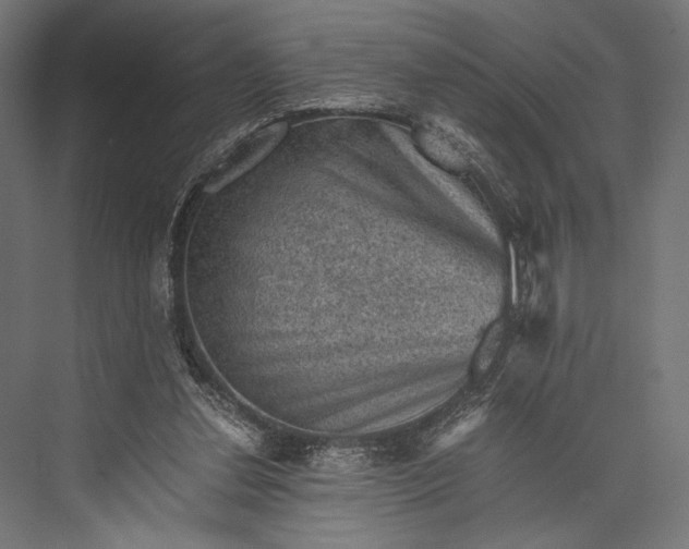 X0000076030252200610061425