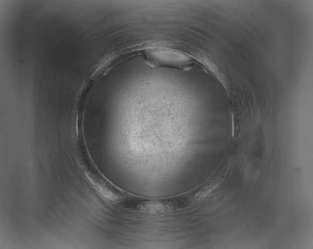 X0000076030253200610061425