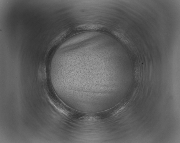 X0000076030254200610061425