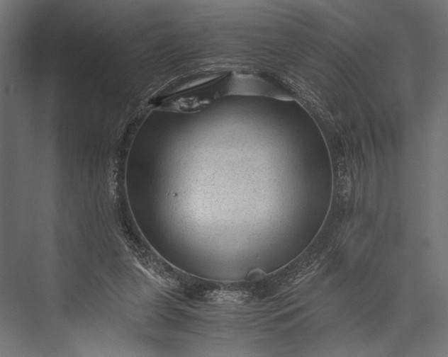 X0000076030255200610061425