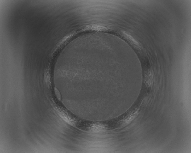 X0000076030256200610061425