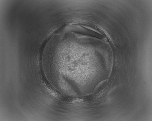 X0000076030257200610061425