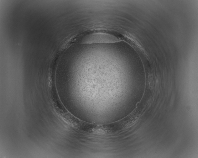 X0000076030259200610061425