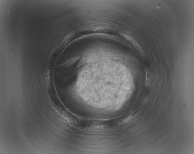 X0000076030260200610061425