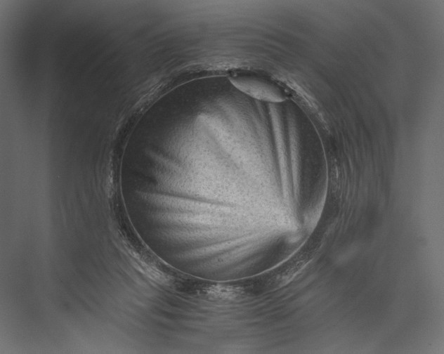 X0000076030261200610061425