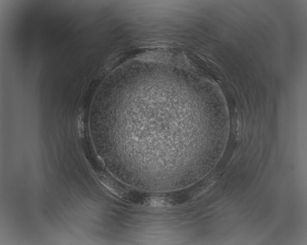 X0000076030264200610061426