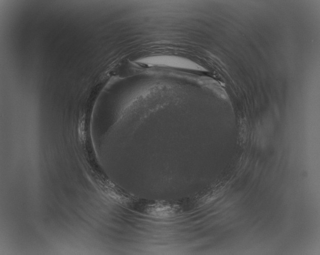 X0000076030267200610061426