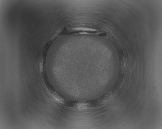 X0000076030268200610061426