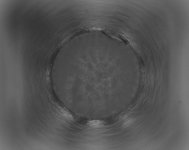 X0000076030269200610061426