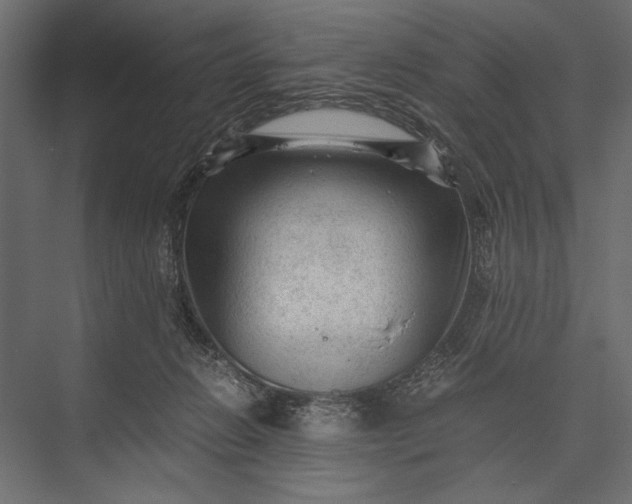 X0000076030270200610061426