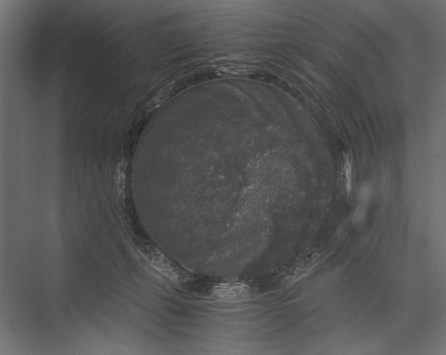 X0000076030271200610061426