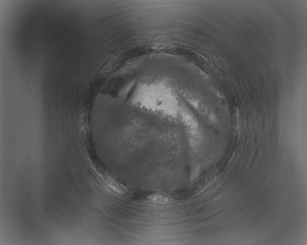 X0000076030272200610061426