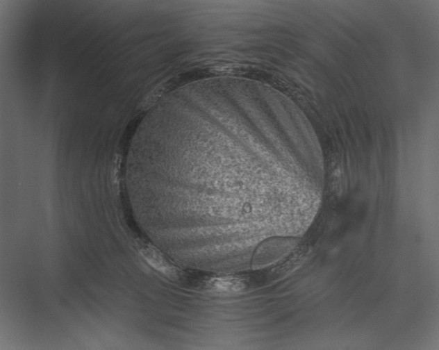 X0000076030275200610061426