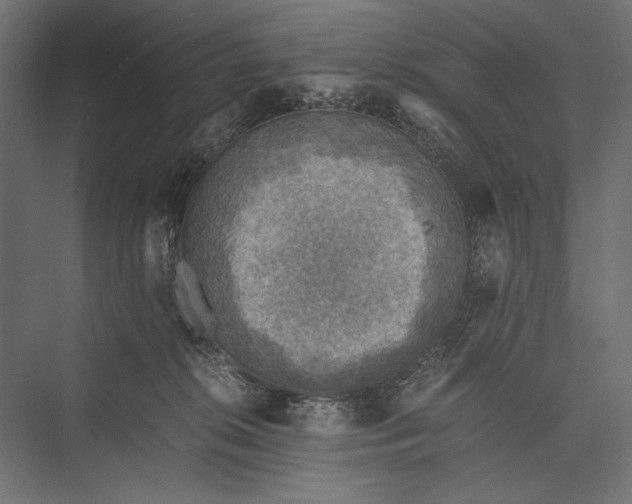 X0000076030276200610061426