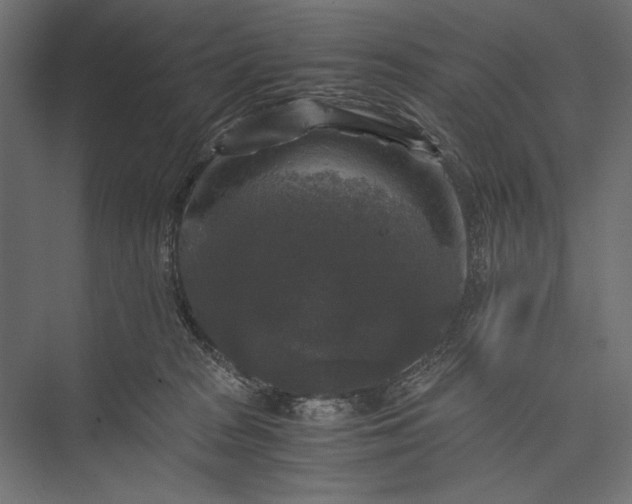 X0000076030277200610061426