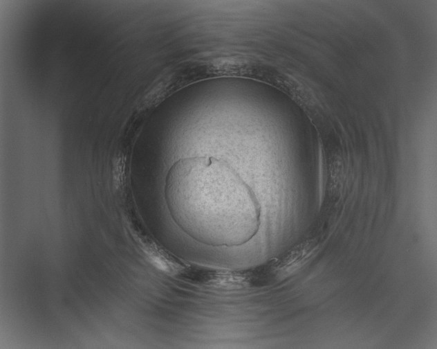 X0000076030278200610061426