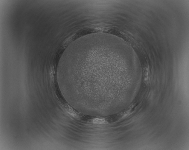 X0000076030279200610061426