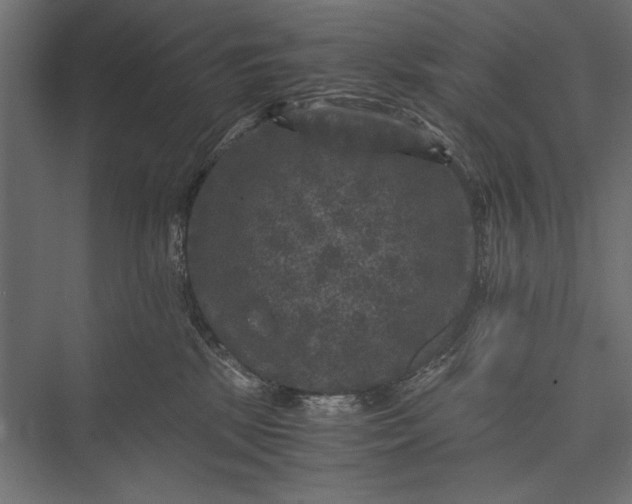 X0000076030281200610061426