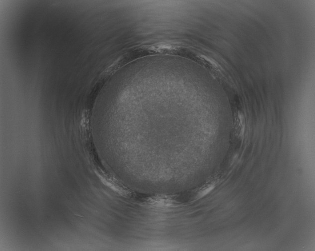 X0000076030284200610061426