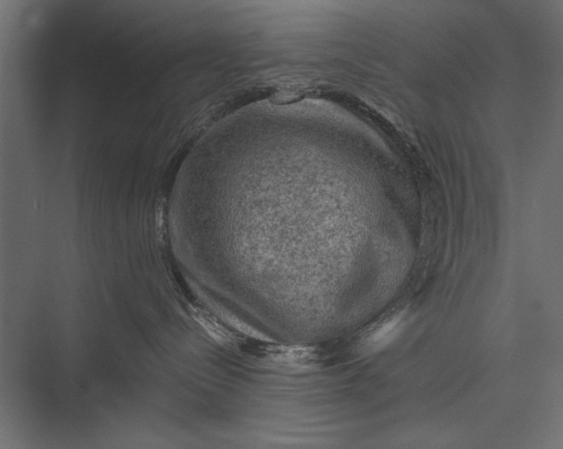 X0000076030288200610061426