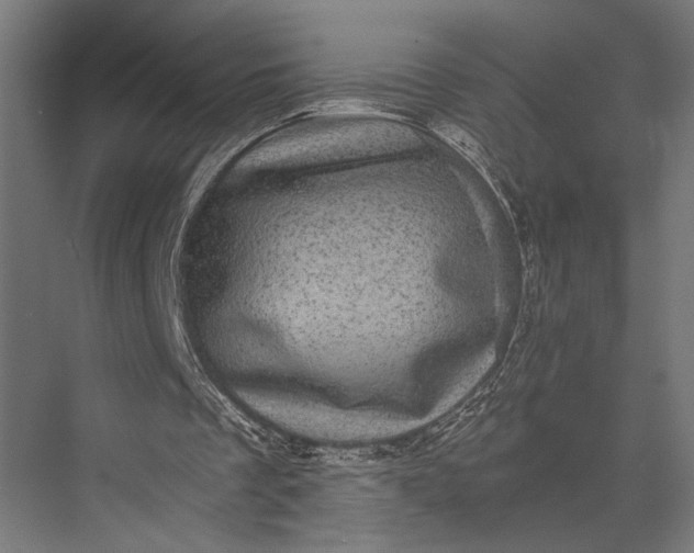 X0000076030289200610061425