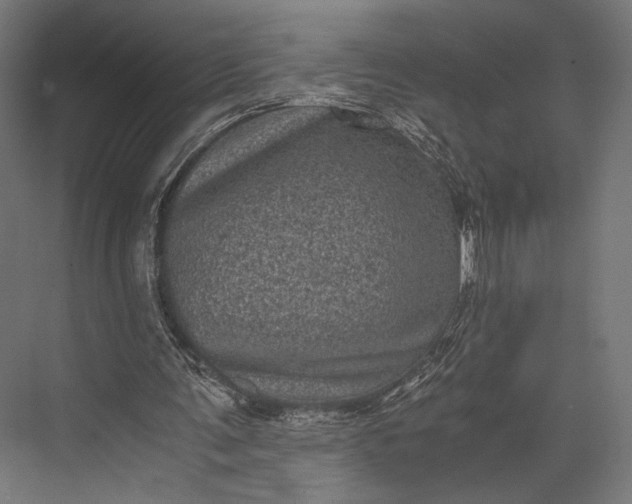 X0000076030291200610061425