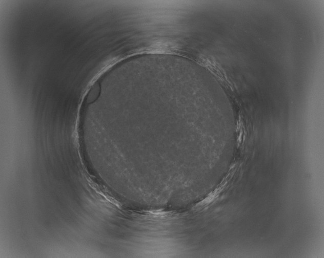 X0000076030292200610061425