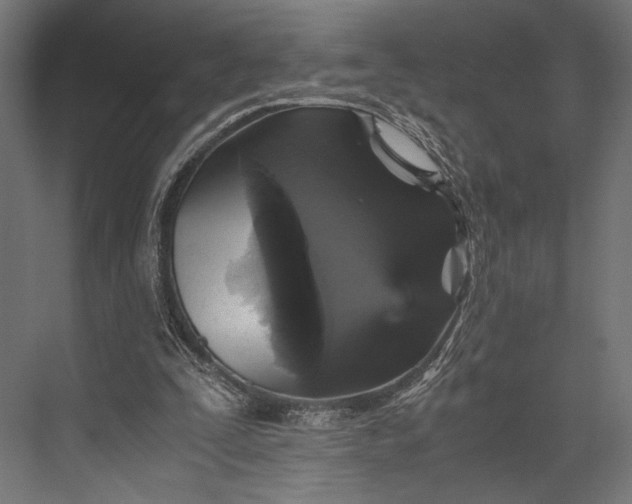 X0000076030295200610061425