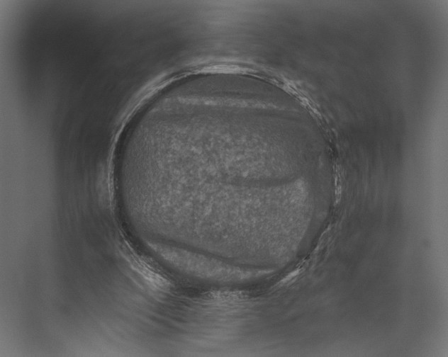 X0000076030296200610061425